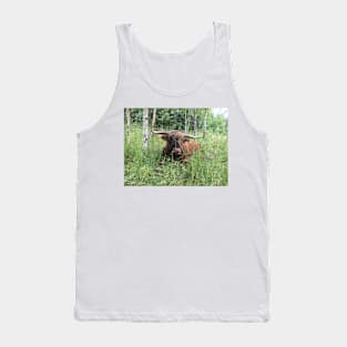 Scottish Highland Cattle Bull 1465 Tank Top